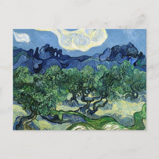 Vincent van Gogh Olivenhaine Postkarte | Atemberau (Vorderseite)