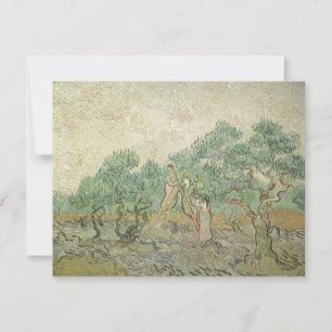 Vincent van Gogh - Olivenpflücker