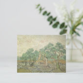 Vincent van Gogh - Olivenpflücker (Stehend Vorderseite)