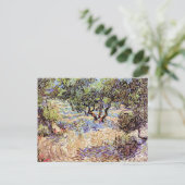Vincent Van Gogh - Olivenweg Postkarte (Stehend Vorderseite)