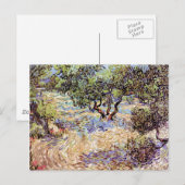 Vincent Van Gogh - Olivenweg Postkarte (Vorne/Hinten)