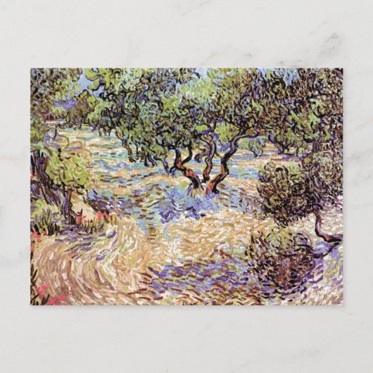 Vincent Van Gogh - Olivenweg Postkarte (Vorderseite)