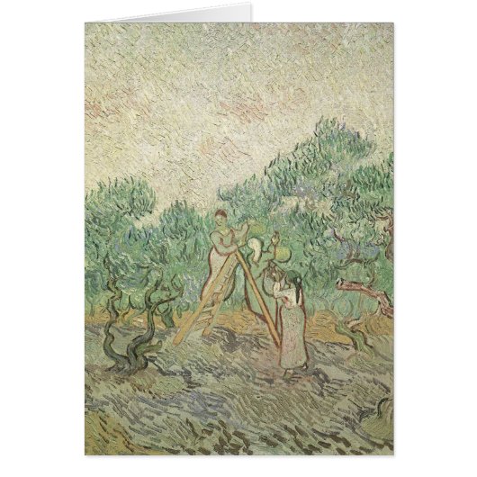 Vincent van Gogh - Ölpflücken (Vorne)