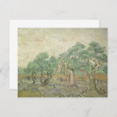 Vincent van Gogh - Ölpflücken (Vorne/Hinten)