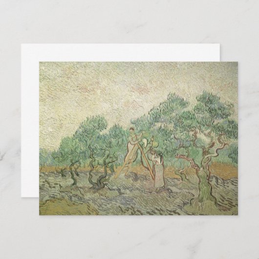 Vincent van Gogh - Ölpflücken (Vorne/Hinten)