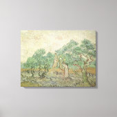 Vincent van Gogh - Ölpflücken Leinwanddruck (Vorderseite)