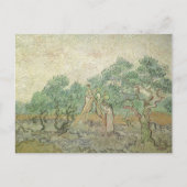 Vincent van Gogh - Ölpflücken Postkarte (Vorderseite)