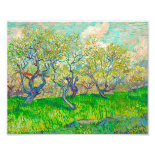 Vincent van Gogh Orchard in Blossom Fotodruck
