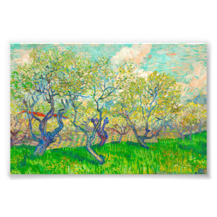 Vincent van Gogh Orchard in Blossom Fotodruck