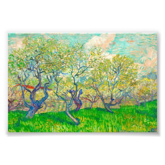 Vincent van Gogh Orchard in Blossom Fotodruck (Vorne)