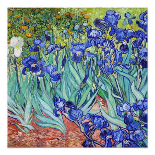 Vincent Van Gogh painting Irises Poster (Vorderseite)