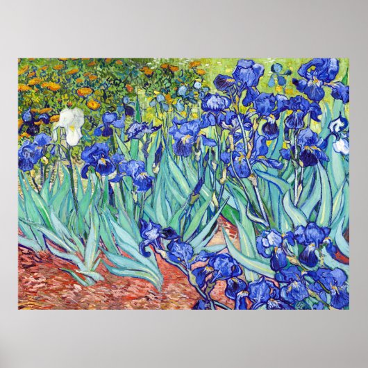Vincent Van Gogh painting Irises Poster (Vorne)