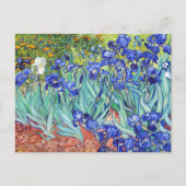 Vincent Van Gogh painting Irises Postkarte (Vorderseite)