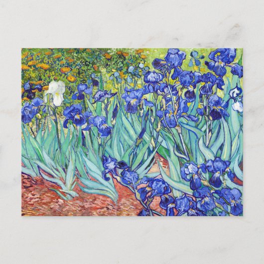 Vincent Van Gogh painting Irises Postkarte (Vorderseite)