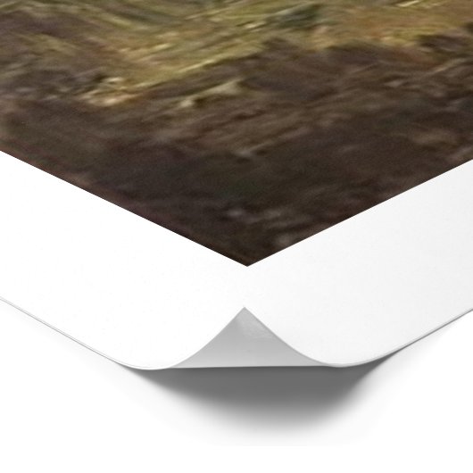 Vincent van Gogh Poster (Ecke)