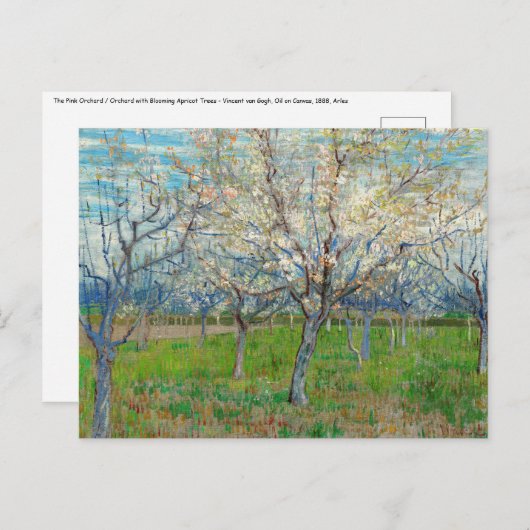 Vincent van Gogh - Rosa Orchard Postkarte (Vorne/Hinten)