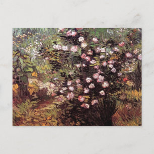 Vincent Van Gogh - Rosebush in Blossom Fine Art Postkarte