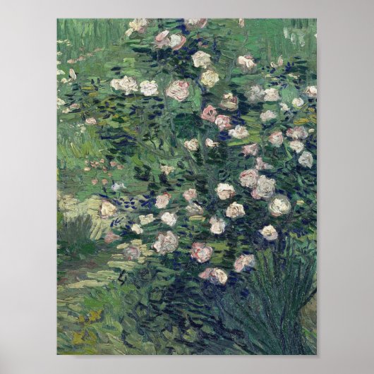 Vincent Van Gogh - Rosebush in Blossom Poster (Vorne)