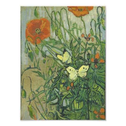 Vincent Van Gogh - Schmetterlinge und Mohn Fotodruck (Vorne)