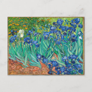 VINCENT VAN GOGH - Schwertlilien 1889 Postkarte