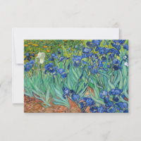 Vincent Van Gogh - Schwertlilien