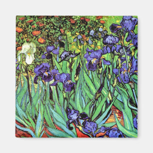 Vincent Van Gogh - Schwertlilien - Flower Lover Fi Magnet