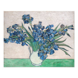 Vincent van Gogh - Schwertlilien Fotodruck
