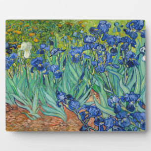 Vincent Van Gogh - Schwertlilien Fotoplatte