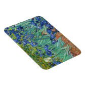 Vincent Van Gogh - Schwertlilien Magnet (Rechte Seite)