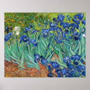 Vincent Van Gogh - Schwertlilien Poster