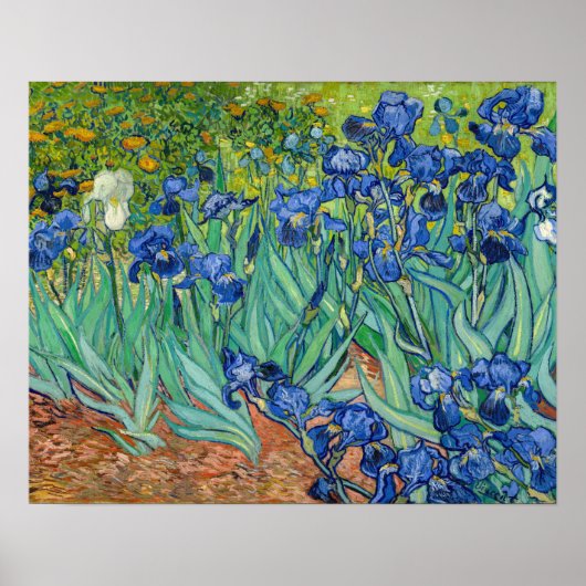 Vincent Van Gogh - Schwertlilien Poster (Vorne)