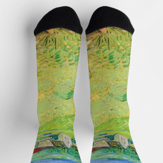 Vincent van Gogh - Sicht auf die Vessenots bei Auv Socken (Oben)