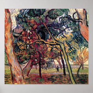 Vincent Van Gogh - Study of Pine Trees Fine Art Poster