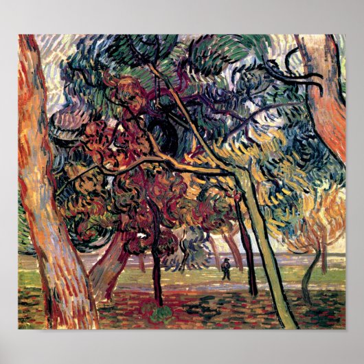 Vincent Van Gogh - Study of Pine Trees Fine Art Poster (Vorne)