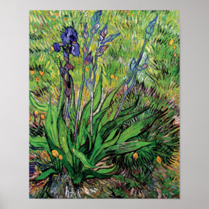 Vincent Van Gogh - The Iris Nature Lover Kunst Poster