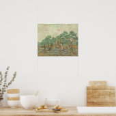 Vincent Van Gogh | The Olive Orchard Poster (Küche)