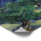 Vincent van Gogh - The Olive Trees Poster (Ecke)