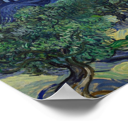 Vincent van Gogh - The Olive Trees Poster (Ecke)