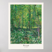 Vincent van Gogh Trees and UnderGrowth Art Print Poster (Vorne)