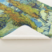 Vincent Van Gogh Two Poplars in Saint-Rémy Sherpadecke (3/4)