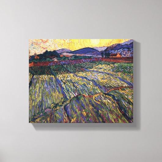 Vincent Van Gogh - umzäuntes Feld mit wachsender S Leinwanddruck (Vorderseite)