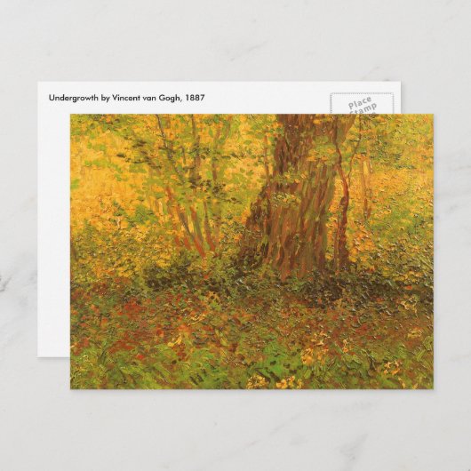 Vincent van Gogh - UnderGrowth Postkarte (Vorne/Hinten)