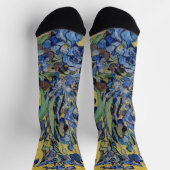 Vincent van Gogh - Vase mit Iren Socken (Oben)