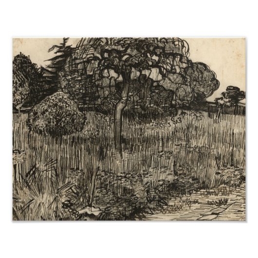 Vincent van Gogh - Weeping Tree Fotodruck (Vorne)