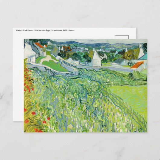 Vincent van Gogh - Weinberge in Auvers Postkarte (Vorne/Hinten)
