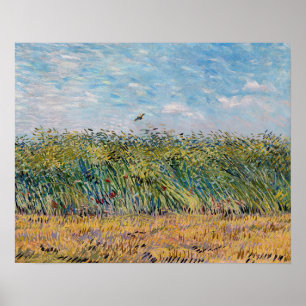 Vincent van Gogh - Weizenfeld mit einer Lerche Poster