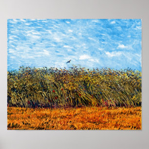 Vincent Van Gogh - Weizenfeld mit einer Lerche Poster