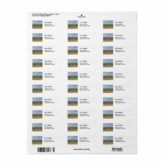 Vincent van Gogh - Weizenfeld mit Lark (Vorne)