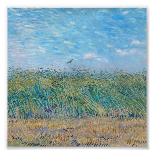 Vincent Van Gogh - Weizenfeld mit Lark Fotodruck (Vorne)
