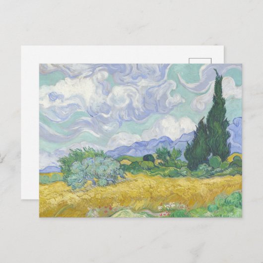 Vincent Van Gogh, Weizenfeld mit Zypressen Postkarte (Vorne/Hinten)